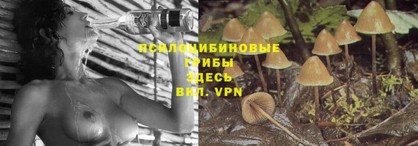наркотики Ладушкин